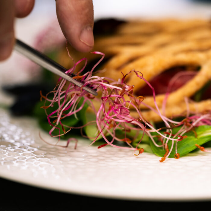 germogli in insalata, piatto del menù degustazione Giordanchefs